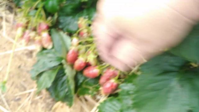 E871d7e774eac162951ea92780c6c5fb