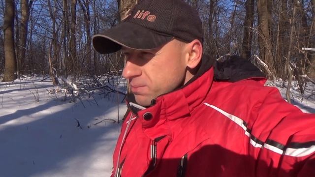 Кордицепс - гриб Патоген і мирний Зимовий Опеньок Фламуліна