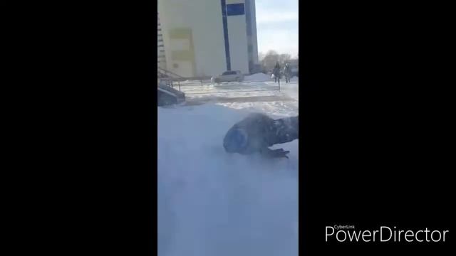 Пародия А4 тает срок (тает лёд) пародия клипа