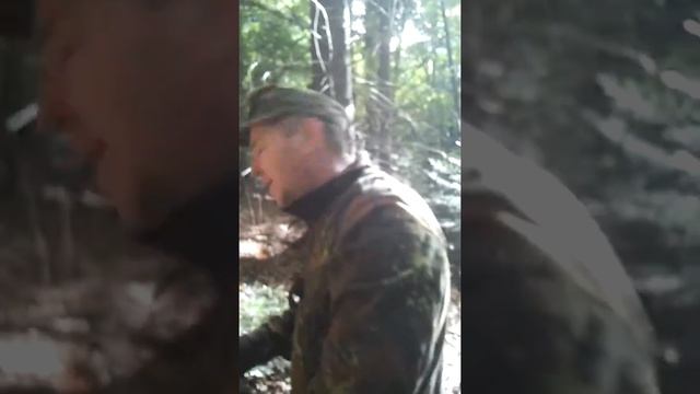 Грибы поперли..