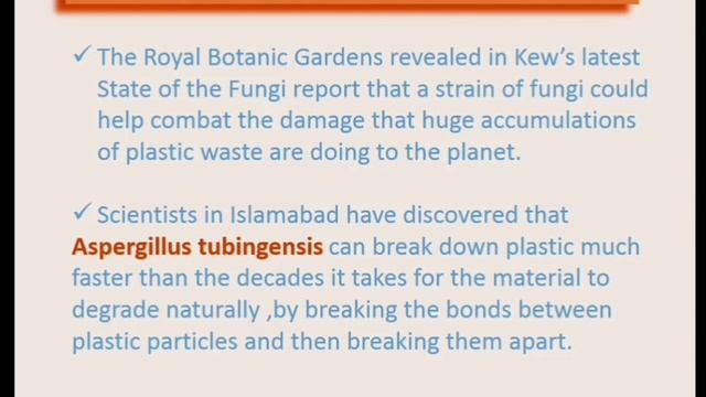 الفطريات لها شهية تجاه البلاستيك / الطالبة حنين قحطان الصالحي
