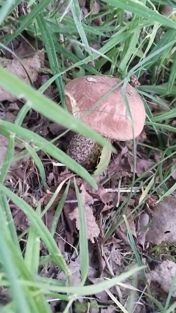 508316694f57957537a6f50aaf34b045