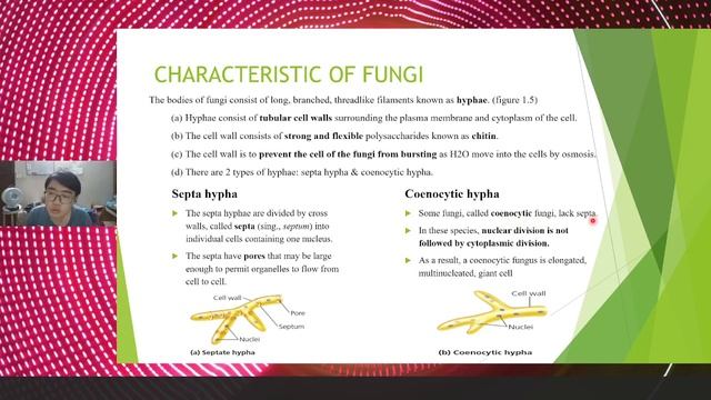STPM BIOLOGY SEM 3 CHAPTER 14.5 KINGDOM FUNGI