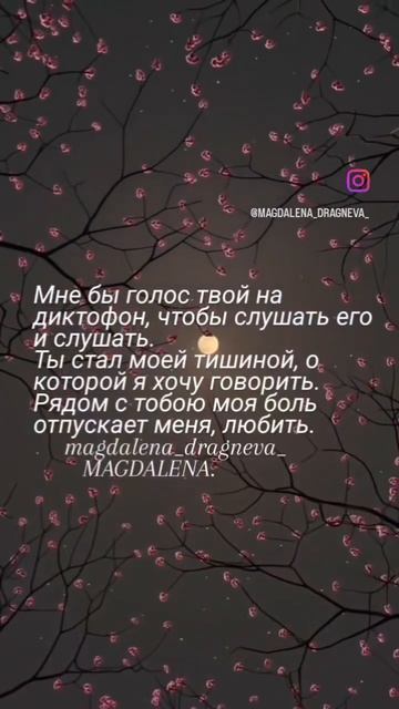 #поэзия#стихи #рекомендации #shorts #тренды#кишинев #moldova#философия#психология #poetru#популярно