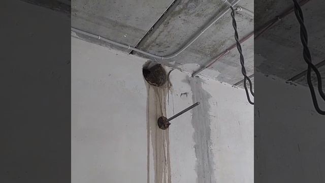 31 июля 2020 г.