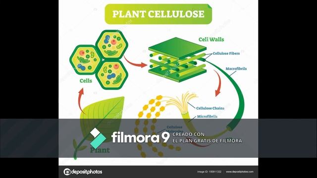 Potencial Biotecnologico De Dekkera/ Bruxellensis