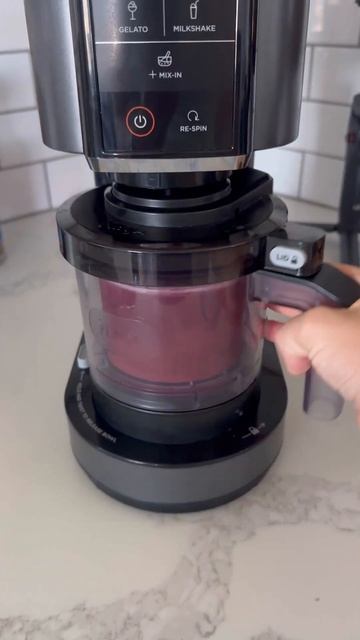 Black Raspberry Chocolate Truffle Ice Cream