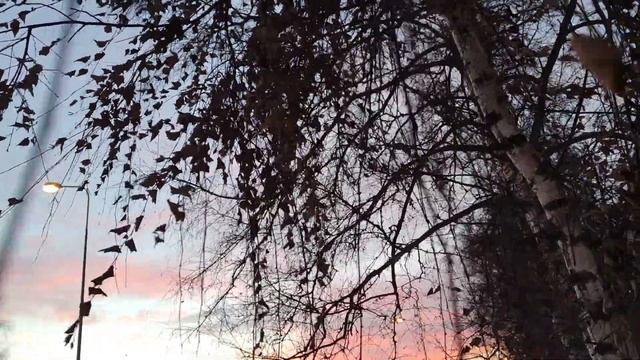 464da18e88244b97ee1f2744d29522dd