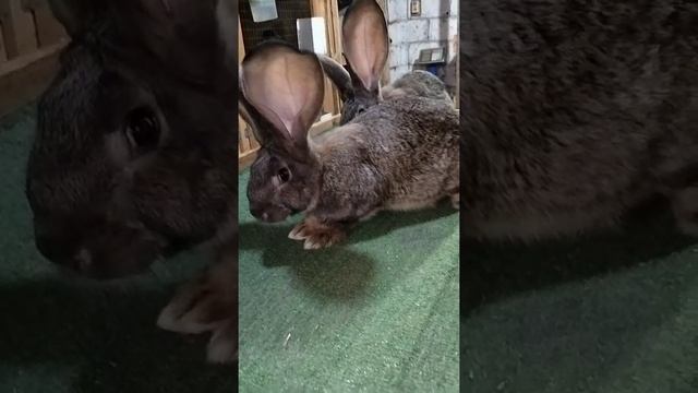 26 июля 2022 г.