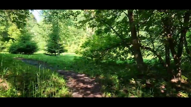 Я неверную встретил у входа. А. Блок (32). Любовная лирика XIX-XX вв. (204). Подмосковье (69).