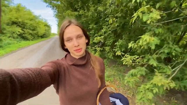 Рано утром за грибами🌳 Прогулка по окрестностям деревни #2023 #грибы
