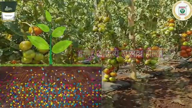 Nirmal Rizamica Bio Products Marathi Language Video