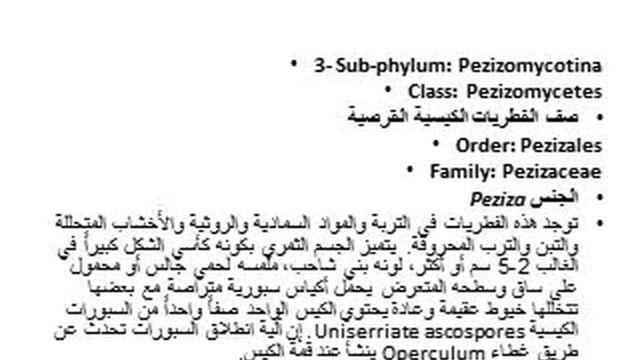 شعبه الفطريات البازيديه ج2/2 -  محاضرات علم الفطريات