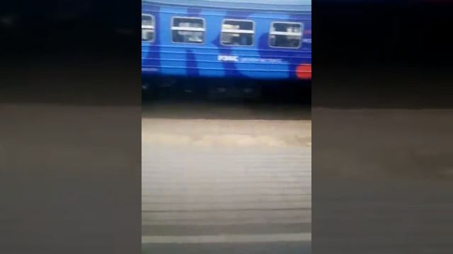 Экспресс Рэкс