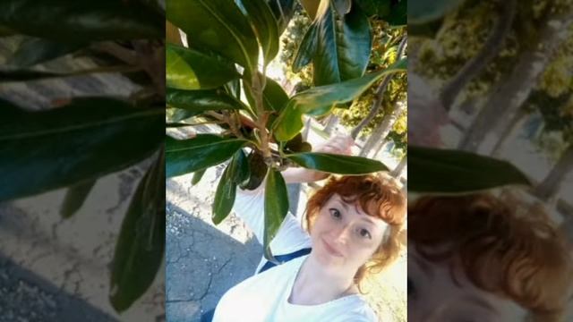 917338ae0ae56799e51eca72d74c2470