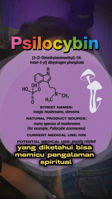 73d513c7bfc19fafc332d081950eedd5