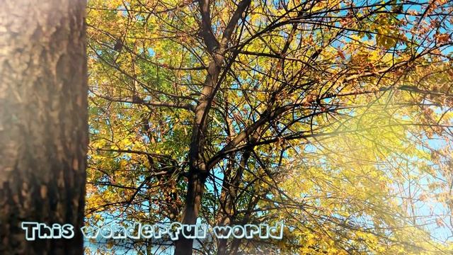 Этот удивительный мир - This Wonderful World