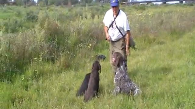 Академия Найк- Обучение на ловни кучета (1/4)