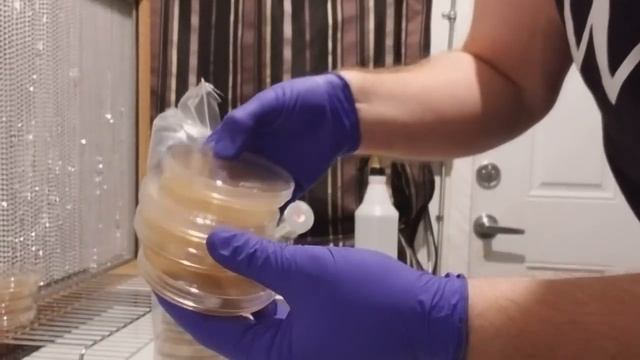 Why 2017 Was The Best Year Of My Life - Educational Video For Students. Learn How We Grow Mushrooms