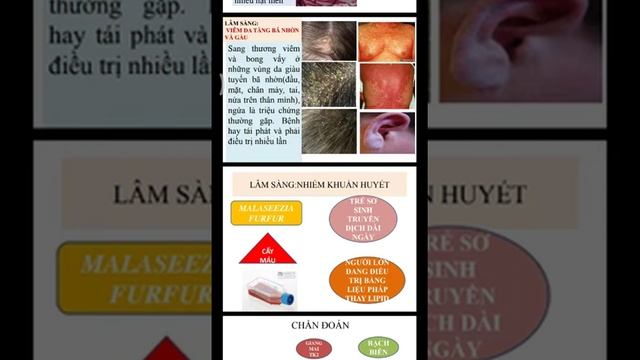 Dac08e1d4630a13f8dac4802d1fb08f4