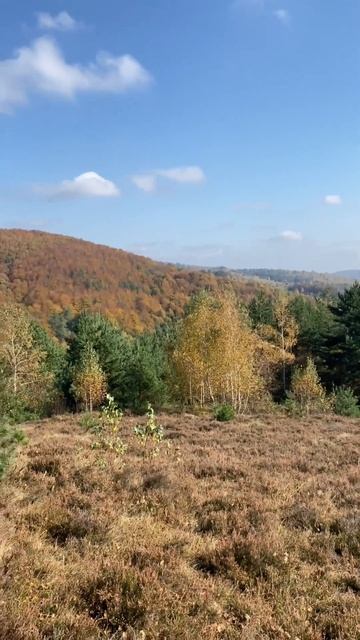 45fadef740d4e27f51e92bd2edc12b71