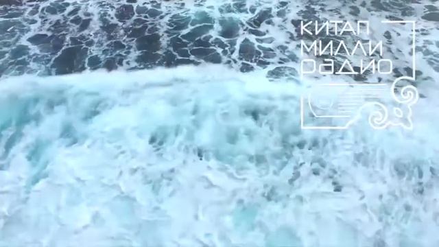 Эльмира Җәлилова 