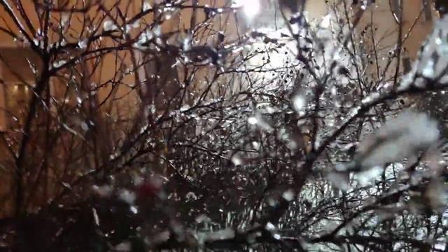 67b230fa81b2d8711128d76e8358fd74