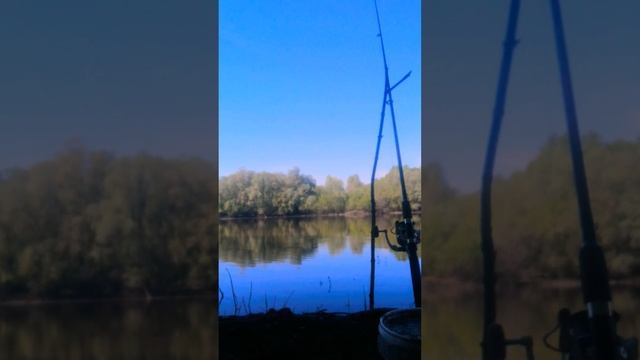 рыбалка на реке Дон. карась #рыбалка #рыбалканадонки #рекадон