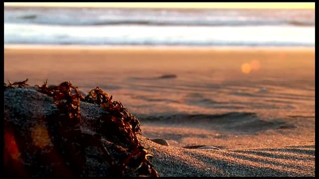 Humboldt Branding Project Cinematic Sample