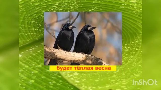 Экологическая игра: 