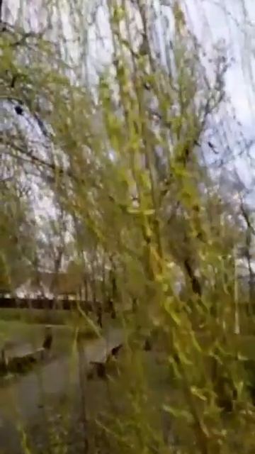 Весна (моё личное стихотворение)