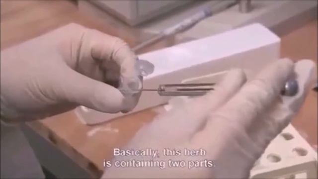 THE WORLD'S MOST RARE And EFFECTIVE MEDICINAL HERB In SOCIAL MEDIA