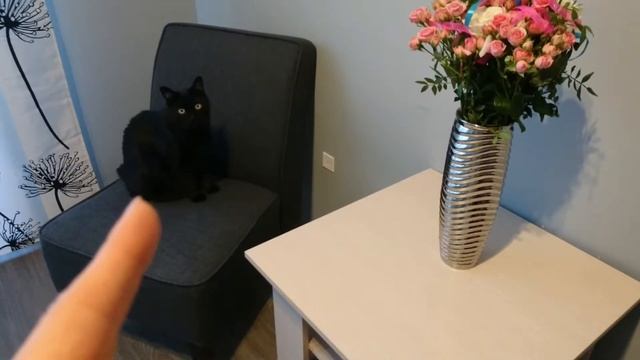 36 - это много или мало?