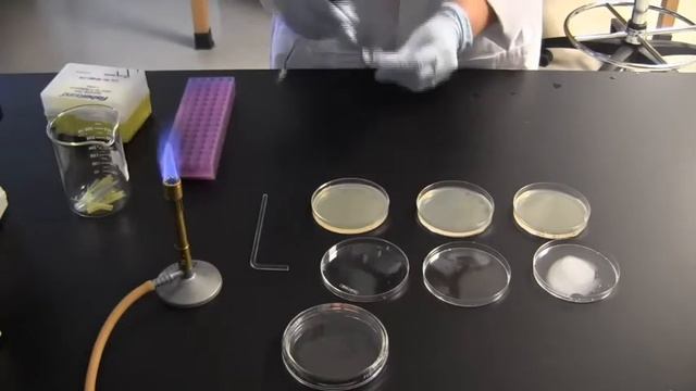 SUR Techniques Clip: Plating