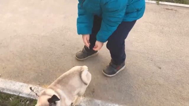 «Удивительная жизнь»