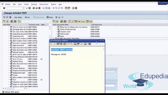SAP SD | Query In SAP SD | Creating Customized Query In Sales And Distribution