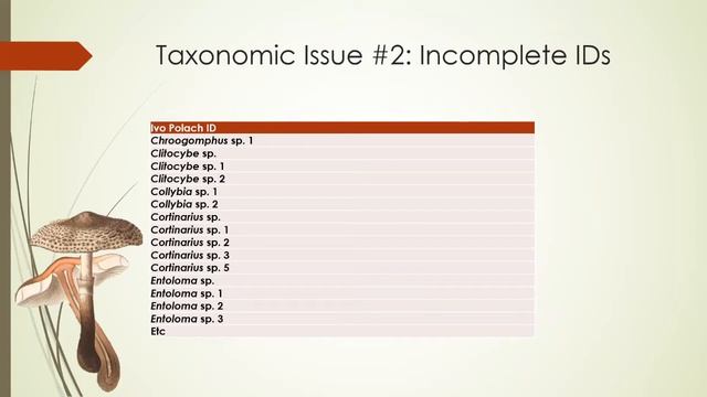 Will The Decline Of Eastern Hemlock Affect Mushroom Biodiversity?