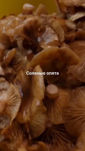 соленые опята