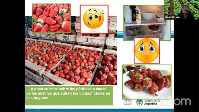 Manejo Integrado De Enfermedades Hortícolas