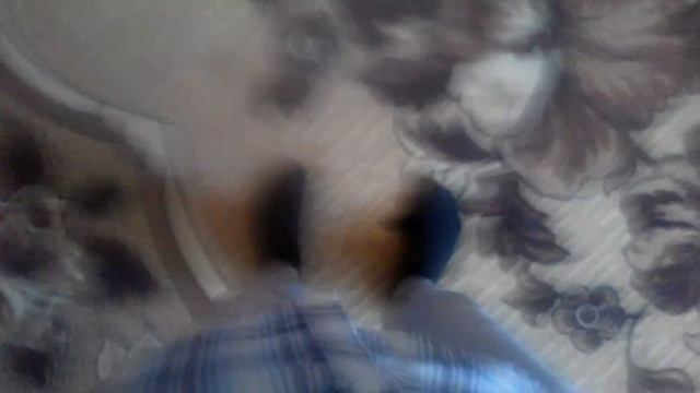 Грибы-КОПЫ:(Пародия)