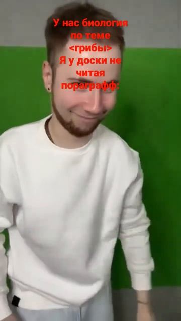 У нас урок биологии по теме грибы🍄😂