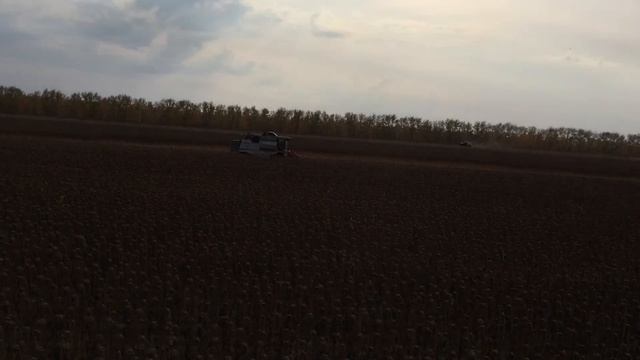 D206f541b4b1286e93eb106b4588e5ac