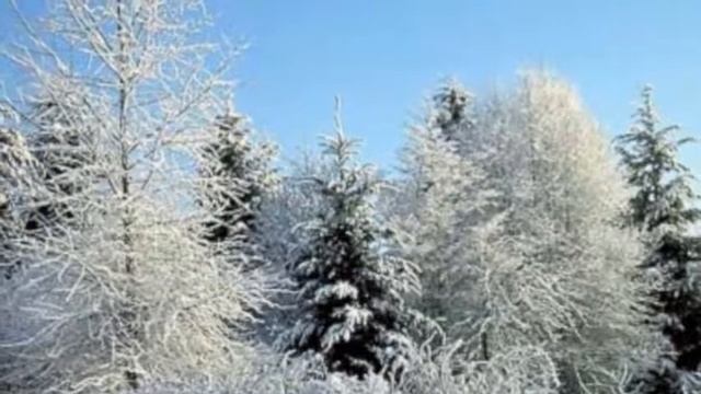 Сетевое мероприятие  Есенин