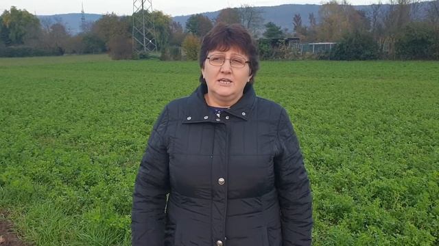 Fca10aa0ec0d9e9d5e529c0a89131733