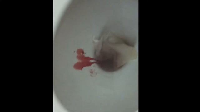 VLOG #5 Майский трип (01.05.21 - 10.05.21)