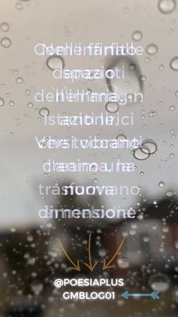 Una Poesia Istanti Lirici, Fugaci Attimi Di Poesia #PoesiaPlus #shorts