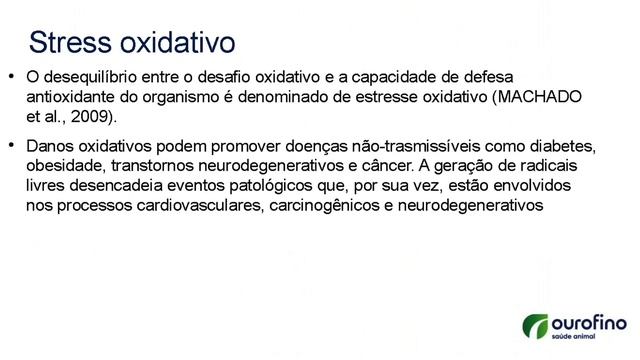 O Uso De Suplementos Na Rotina Clínica De Pequenos Animais