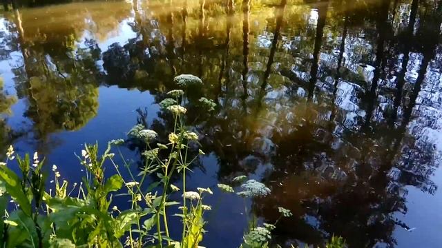 Ee320466082e18f81ff359b1c0d494d7