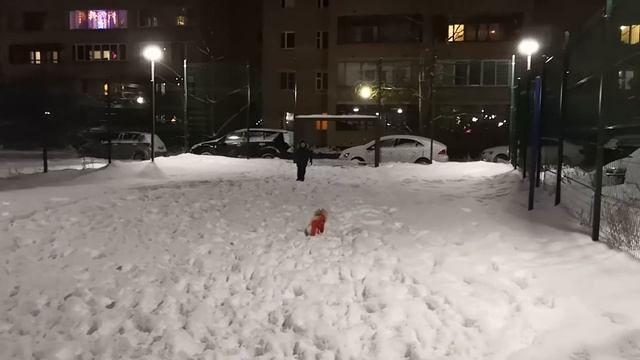 Снежный Марс 2