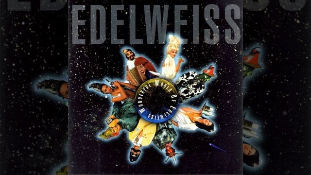 Starship (Raumschiff) Edelweiss